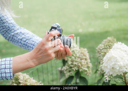 Das blonde Mädchen hält eine antike Kamera und konzentriert sich auf eine weiße Blume. Vor dem Hintergrund des grünen Grases Stockfoto
