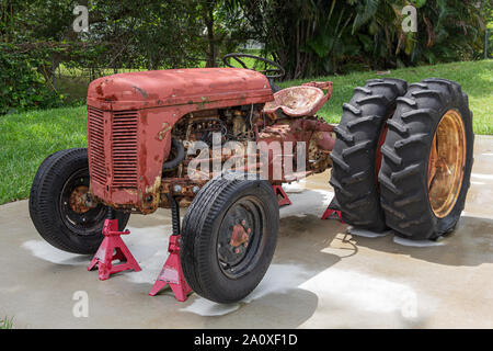 Vintage Ferguson Traktor, verrostet und verwittert - Davie, Florida, USA Stockfoto