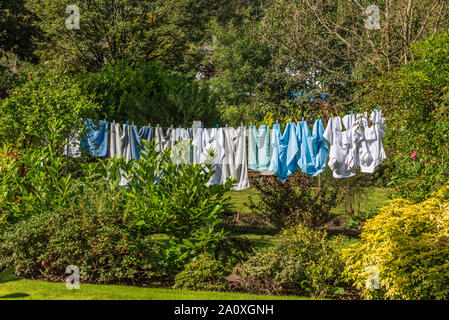 Bunte Kleidung trocknen auf der Wäscheleine. Stockfoto