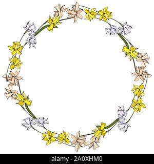 Vektor Narzissen Blumen botanischen Blumen. Wild Federblatt wildflower isoliert. Schwarze und weiße Tinte Art Rand eingravierte ornament Quadrat auf whi Stock Vektor