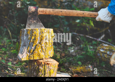 Holzfäller Spalten von Holz und Brennholz mit alten Ax. Stockfoto