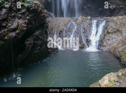 Wasser aus einem See unter einem Wasserfall Überläufe ein Fels. Madakaripura Wasserfall ist nicht weit von Mount Bromo. Der höchste Wasserfall in Java. Stockfoto