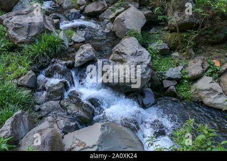 Die Mountain River fließt durch die Steine im Flussbett. Lange Belichtung mit fliessend Wasser. Üppig grüne Gras umgibt nassen Felsblöcken. Stockfoto