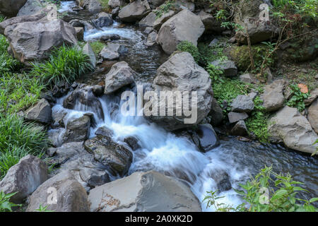 Die Mountain River fließt durch die Steine im Flussbett. Lange Belichtung mit fliessend Wasser. Üppig grüne Gras umgibt nassen Felsblöcken. Stockfoto