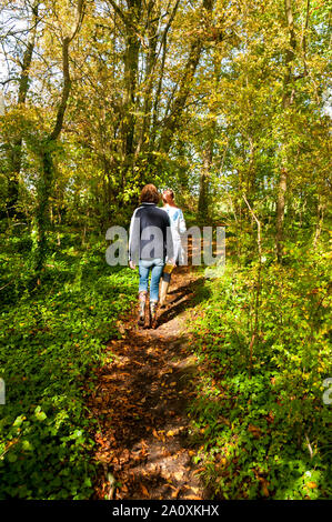 Frau und Mädchen zu Fuß in den Wäldern in der nähe von Wedmore, Somerset, England Stockfoto