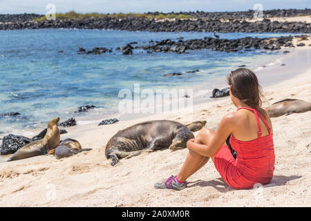 Galapagos Touristen genießen Sie Wildtiere in der Natur auf der Suche nach Viele Galapagos Seelöwen auf Kreuzfahrtschiff adventure reisen urlaub ferien, Mann Strand (Playa Mann), San Cristobal, Galapagos, Ecuador. Stockfoto