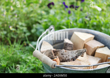 Die Bucketful der birchen Brennholz im Sommer vor dem Hintergrund grüne Pflanze Stockfoto