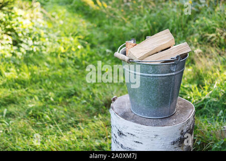 Die Bucketful der Brennholz auf dem birchen im Sommer vor dem Hintergrund grüne Pflanze Stockfoto