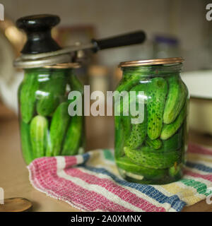 Der Prozess der Beizen Gurken in Liter Krügen in Russischen ländlichen Küche. Stockfoto