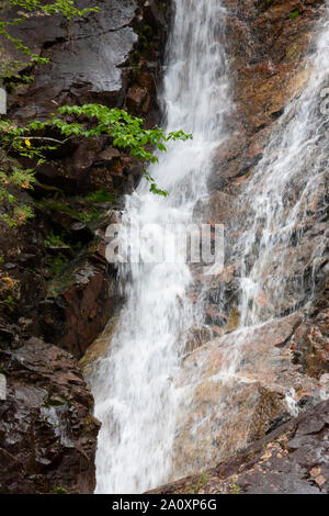 Schwarze Biber fällt, agawa Canyon, Ontario, Kanada Stockfoto