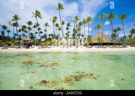 Tropical Playa Bavaro in der Sargassosee, Punta Cana, Dominikanische Republik Stockfoto