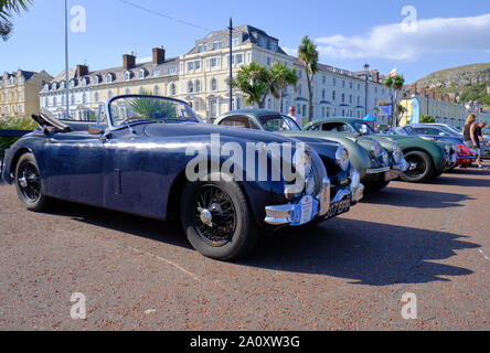 Jaguar XK Club Cars in Runde Großbritannien Küstenstrecke Internationalen teilnehmenden halten am Strand in LLandudno. Geld für Prostatakrebs UK zu erhöhen Stockfoto