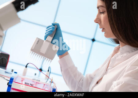 Laden von Samples und läuft einem Agarosegel für Elektrophorese Gelelektrophorese ist der Standard lab Verfahren zur Trennung von DNA Stockfoto