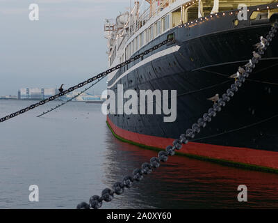 Hikawa Maru, ein Vintage Ocean Liner ist als Museum Schiff an Yamashita Park in Yokohama City Anker. Eine Herde von Möwen auf den Ketten aus Metall. Stockfoto