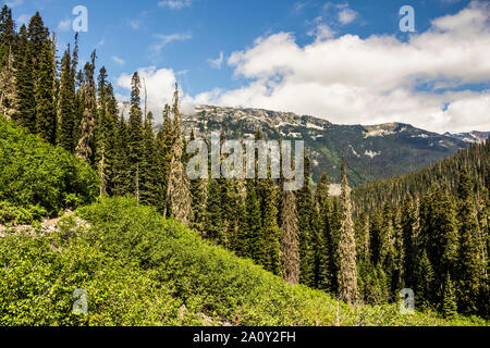 In die Natur. Joffre Lakes, BC, Kanada. Stockfoto