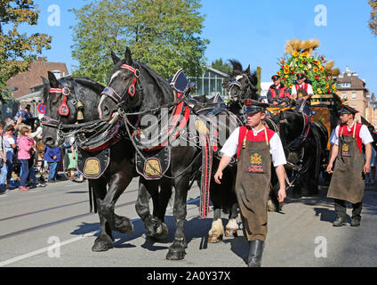 Stuttgart, Germany-September 30, 2018: Bierfest, Festzug mit Pferden Stockfoto