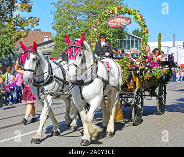 Stuttgart, Germany-September 30, 2018: Bierfest, Festzug mit Pferden Stockfoto