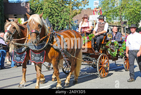 Stuttgart, Germany-September 30, 2018: Bierfest, Festzug mit Pferden Stockfoto