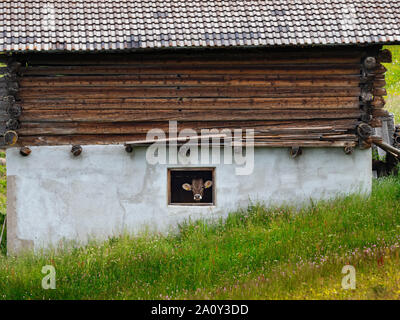 Milchkuh aus Halle Fenster Seiser Alm Dolomiten Plateau grösste alpine Wiese in Europa suchen Stockfoto