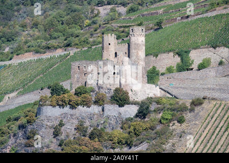 Burg Ehrenfels, eine Burgruine über dem Rhein Schlucht in der Nähe der Stadt Rüdesheim am Rhein in Hessen, Deutschland. Stockfoto