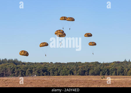 Fallschirmjäger Landung auf dem Ginkel Heide 75 Jahre Gedenken an die Operation Market Garden WOII Arnheim in den Niederlanden Stockfoto