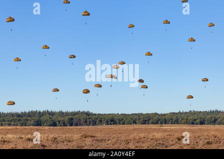 Fallschirmjäger Landung auf dem Ginkel Heide 75 Jahre Gedenken an die Operation Market Garden WOII Arnheim in den Niederlanden Stockfoto