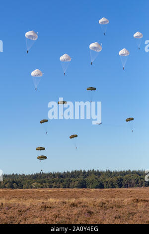 Fallschirmjäger Landung auf dem Ginkel Heide 75 Jahre Gedenken an die Operation Market Garden WOII Arnheim in den Niederlanden Stockfoto