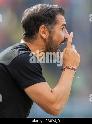 22. September 2019, Sachsen, Dresden: Fussball: 2. Bundesliga, SG Dynamo Dresden SSV Jahn Regensburg, 7. Spieltag, im Rudolf Harbig Stadion. Trainer Cristian fiel Dresden Gesten auf der Seitenlinie. Foto: Robert Michael/dpa-Zentralbild/dpa - WICHTIGER HINWEIS: In Übereinstimmung mit den Anforderungen der DFL Deutsche Fußball Liga oder der DFB Deutscher Fußball-Bund ist es untersagt, zu verwenden oder verwendet Fotos im Stadion und/oder das Spiel in Form von Bildern und/oder Videos - wie Foto Sequenzen getroffen haben. Stockfoto