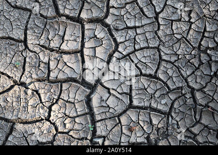 Natürliche rissig Schlamm Textur nach einer langen Zeit der Dürre Stockfoto