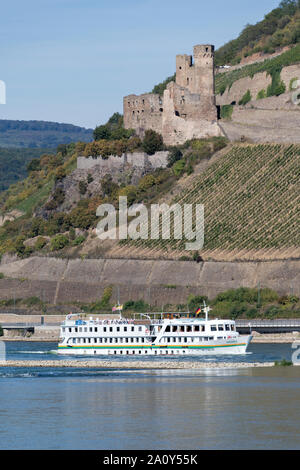 River Cruise Ship Virginia auf dem Rhein vorbei an Burg Ehrenfels. Stockfoto