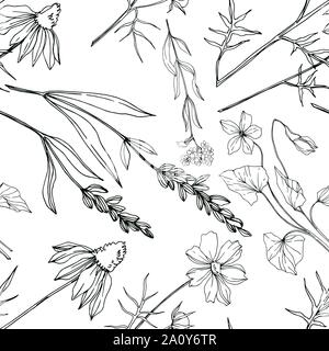Vektor wildflower floral botanischen Blumen. Wild Federblatt wildflower isoliert. Schwarz und weiß eingraviert Tinte Art nahtlose Muster. Fabri Stock Vektor