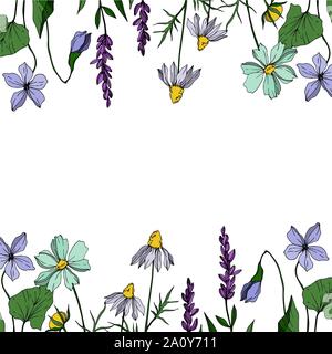 Vektor wildflower floral botanischen Blumen. Wild Federblatt wildflower isoliert. Schwarze und weiße Tinte Art Rand eingravierte ornament Quadrat auf wh Stock Vektor