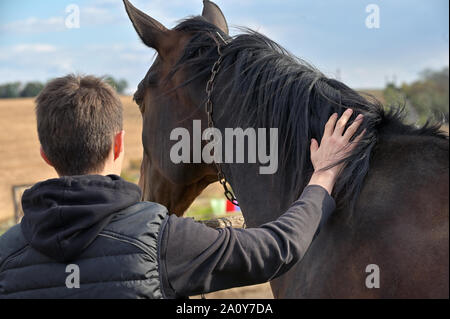 Teenager mit einem Pferd in der Natur Stockfoto