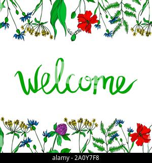 Vektor Wildblumen Blumen botanischen Blumen. Wild Federblatt wildflower isoliert. Schwarze und weiße Tinte Art Rand eingravierte ornament Quadrat auf w Stock Vektor