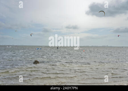 Die Biscayne Bay an einem windigen Sonntag Morgen mit vielen Kitesurfer genießen das Wetter als von Matheson Hammock Park gesehen Stockfoto