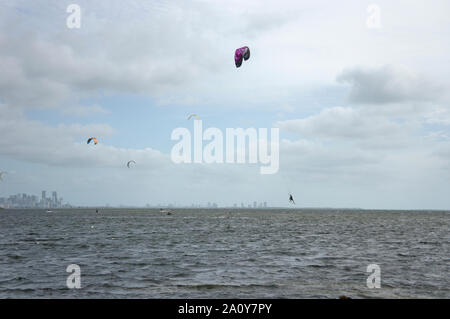 Die Biscayne Bay an einem windigen Morgen mit vielen Kitesurfer genießen das Wetter als von Matheson Hammock Park gesehen; Downtown Miami ist im Hintergrund Stockfoto