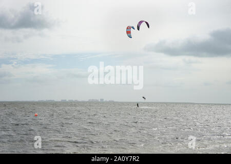 Die Biscayne Bay an einem windigen Sonntag Morgen mit vielen Kitesurfer genießen das Wetter als von Matheson Hammock Park gesehen; Key Biscayne ist im Hintergrund Stockfoto