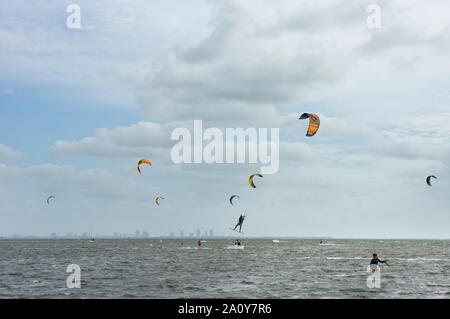 Die Biscayne Bay an einem windigen Sonntag Morgen mit vielen Kitesurfer genießen das Wetter als von Matheson Hammock Park gesehen; Key Biscayne ist im Hintergrund Stockfoto