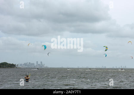 Die Biscayne Bay an einem windigen Sonntag Morgen mit vielen Kitesurfer genießen das Wetter als von Matheson Hammock Park gesehen Stockfoto