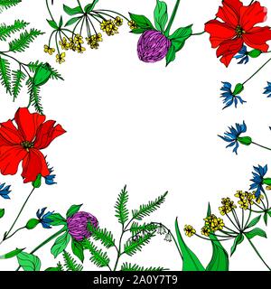 Vektor Wildblumen Blumen botanischen Blumen. Wild Federblatt wildflower isoliert. Schwarze und weiße Tinte Art Rand eingravierte ornament Quadrat auf w Stock Vektor