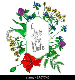 Vektor Wildblumen Blumen botanischen Blumen. Wild Federblatt wildflower isoliert. Schwarze und weiße Tinte Art Rand eingravierte ornament Quadrat auf w Stock Vektor