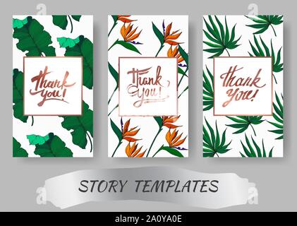 Vektor tropische Blumen botanischen Blumen. Graviert Tinte Art Hochzeit hintergrund Karte Blumen dekorativ Grenze. Danke, Rsvp, Einladung elegante Karte Stock Vektor