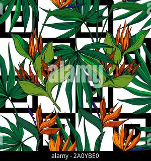 Vektor tropische Blumen botanischen Blumen. Wild Federblatt wildflower isoliert. Schwarz und weiß eingraviert Tinte Art nahtlose Muster. Gewebe Stock Vektor