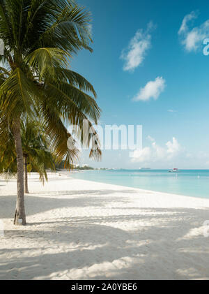 Seven Mile Beach auf Grand Cayman Island, die Caribbeans Stockfoto