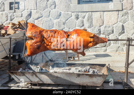 Ganze junge Ferkel am Spieß Spieß. Naplavka Street Food Festival. Stockfoto
