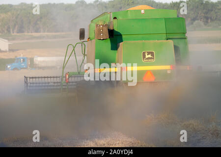 Traktor pflügt die Felder während der Sommerernte Stockfoto