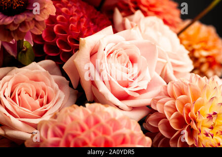 Florale Komposition von Dahlia Blumen, Rosen und Blätter im Herbst. Arty, leuchtend rot und rosa Blumenstrauß Stockfoto