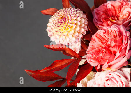 Florale Komposition von Dahlia Blumen, Rosen und Blätter im Herbst. Arty, leuchtend rot und rosa Blumenstrauß auf grauem Hintergrund Stockfoto