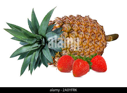 Ananas und Erdbeere auf weißem Hintergrund Stockfoto