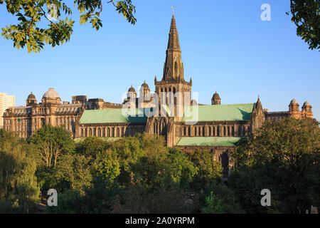 Die wunderschöne Kathedrale von Glasgow bei Sonnenaufgang. Stockfoto